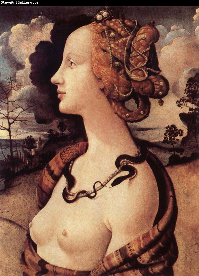Piero di Cosimo Portrat of Simonetta Vespucci